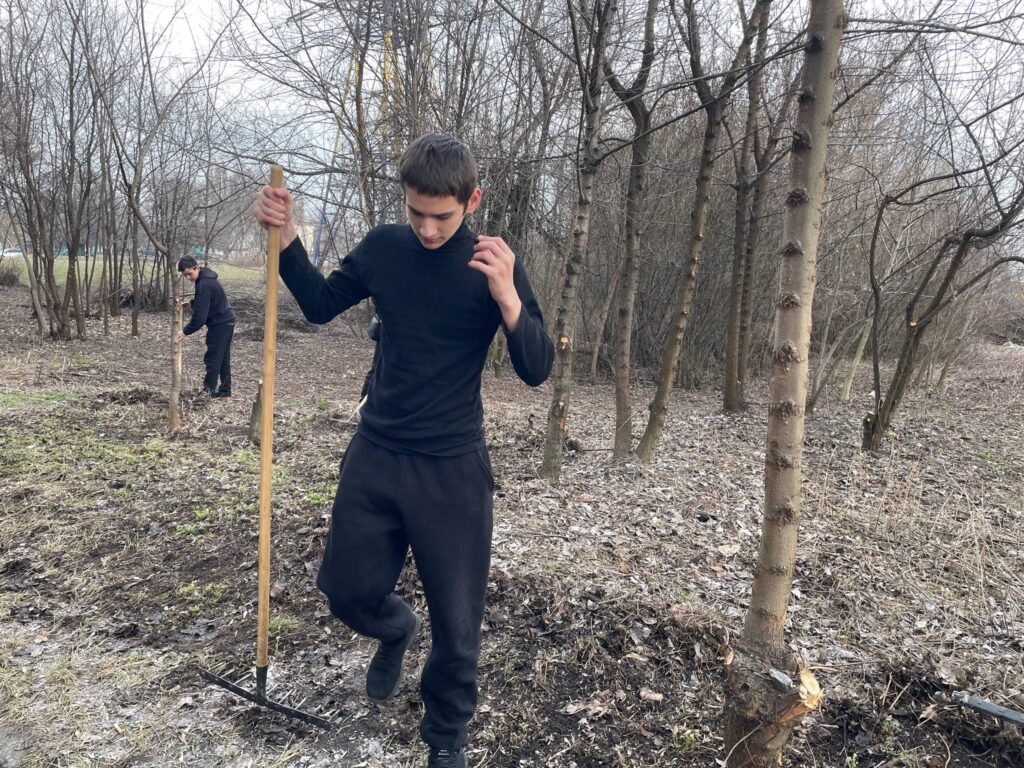 Возможно, это изображение трава и дерево