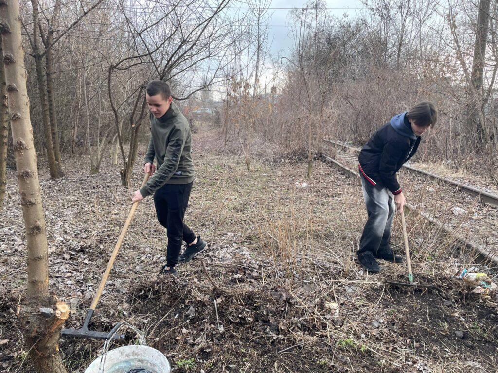 Возможно, это изображение дерево